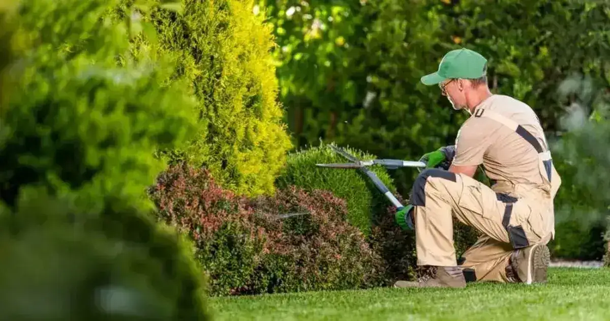 How to Become a Landscaper: Crafting Beauty From the Ground Up