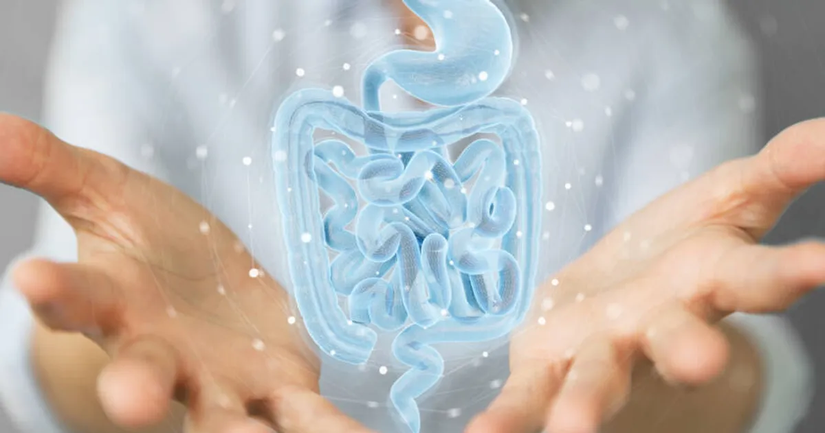 Top Rated Gastroenterologists For Advanced Digestive Health Care